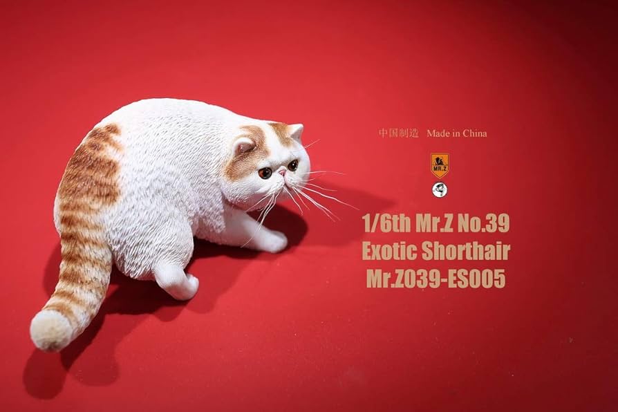 Mr.Z 1/6 エキゾチック ショートヘア 6種 動物 置物 フィギュア フィギュア専門店 -ソダチトイズ / Mr.Z 1/6 エキゾチック